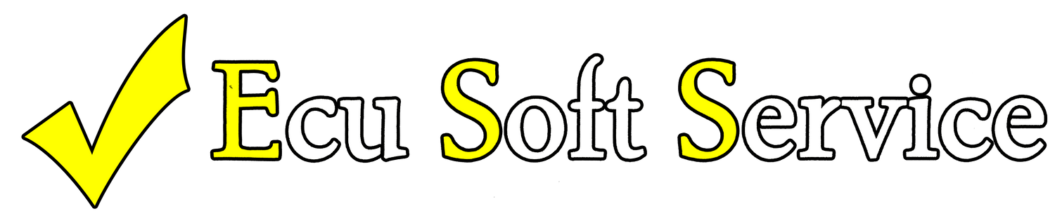 Ecu Soft Service